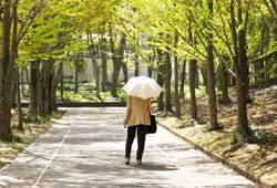 歩道を歩く高齢者女性