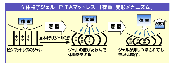 yt@fB[izs^EV[gNbV uX 摜2