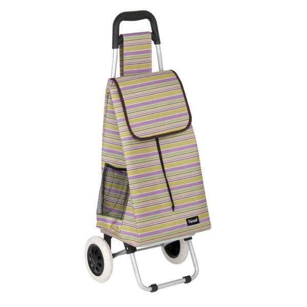 �y�K�a���쏊 /TacaoF�z�V���b�s���O�J�[�g�A���~���V���b�s���O�J�[ CRS04